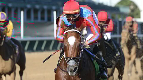 Racing at Churchill Downs