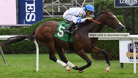 Martini’nmoonshine, shown here in August at Saratoga, is a Tipster pick today at Keeneland.