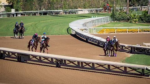 Final workouts on the Santa Anita downhill turf course, due to reopen for racing today.