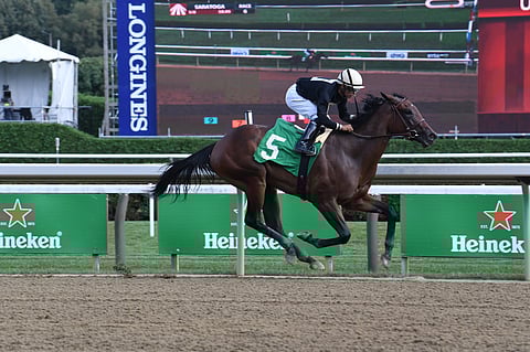 Sue Ellen Mishkin, in August, at Saratoga.
