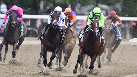 Speedy Jackie's Warrior, in front in H. Allen Jerkens in August at Saratoga. Of course Garrity is betting against him.