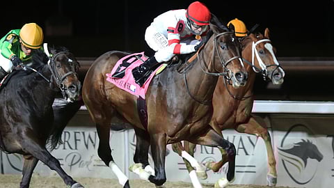 Racing at Turfway Park.