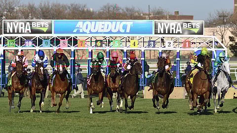 Racing at Aqueduct.
