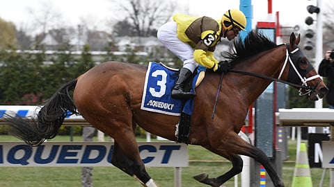 Plainsman, winning the Discovery back in November 2018, is Garrity's pick in the Cigar Mile.