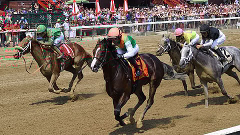 Sea Foam, winning the Albany at Saratoga back in August 2018.