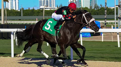 Racing at Gulfstream Park. Two horses so close it looks like one horse with eight legs.