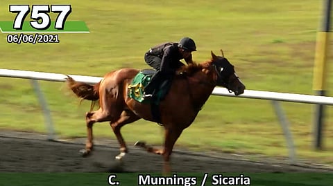 Burninhunkoflove debuts today for trainer Albert Stall.