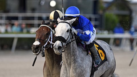 Racing at Gulfstream Park.