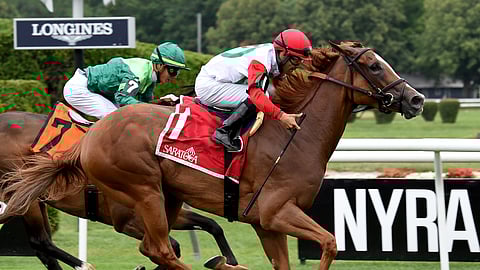 Regal Glory, winning the 2019 Lake George at Saratoga, is God's Tipster's Best Bet at Gulfstream park.