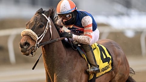 Racing at Aqueduct.