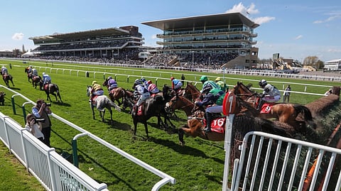 The Champion Hurdle will be run Tuesday at Cheltenham Racecourse and Honeysuckle is in the air.