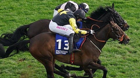 Racing at Cheltenham
