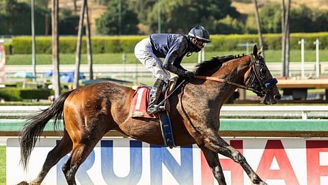 Cezanne is Garrity's pick in the Grade 2 San Carlos.