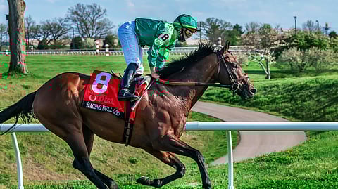 The great Raging Bull running in a previous Maker's Mark Mile.