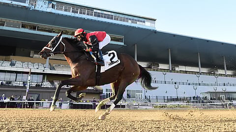 Lady Rocket, alone in front, in the Go For Wand.