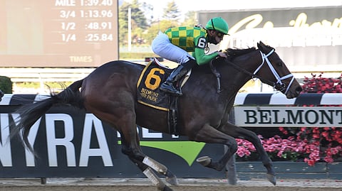 Mo Donegal is God's Tipster's pick in the Belmont Stakes.