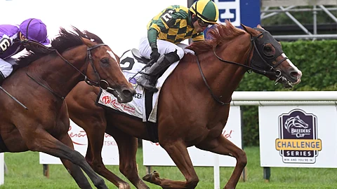 Gufo, pulling away in the Sword Dancer, last summer at Saratoga, is Garrity's pick in Monmouth Park's United Nations Stakes.