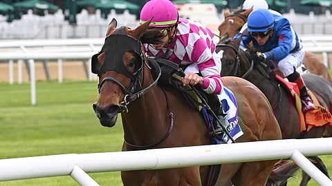 Miss J McKay winning the License Fee in May at Belmont.