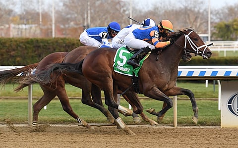 Nest, winning the Demoiselle at Aqueduct in December, in the pick today in the Caching Club American Oaks.