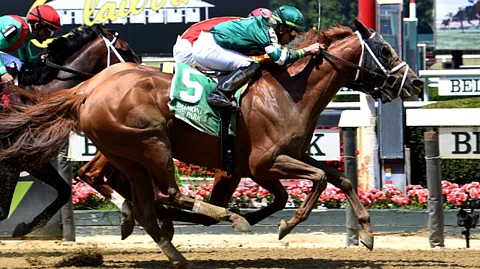 Dynamic One was one of God's Tipster's Belmont winners Saturday.