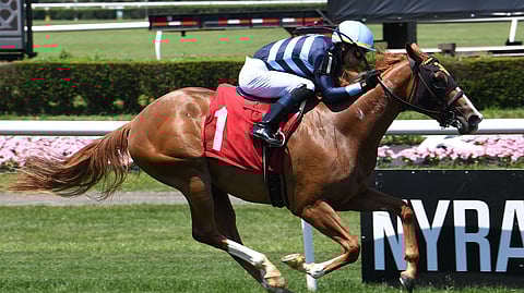 Poppy Flower is God's Tipster's pick in the Galway Stakes at Saratoga.