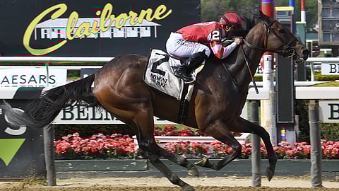 Brattle House, running in May, Garrity's pick in the Empire Distaff.