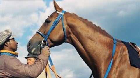 The great Secretariat.