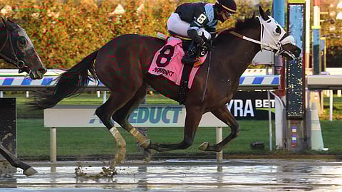 Wet track racing at Aqueduct.