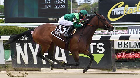 Boston Post Road is Garrity's pick in the Pumpkin Pie.