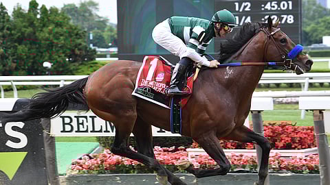 Garrity is expecting something special from Flightline in the Classic. But at his odds, save your money, enjoy the race.