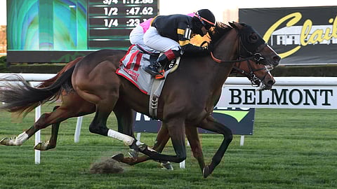 Wicked Fast is Garrity's pick in the Gio Ponti.
