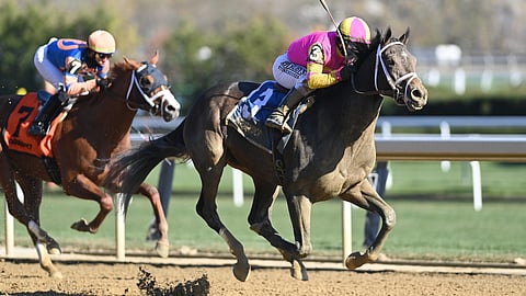 Racing at Aqueduct.