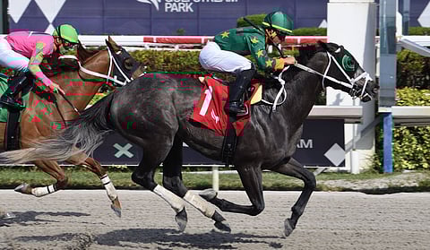 Racing at Gulfstream Park.