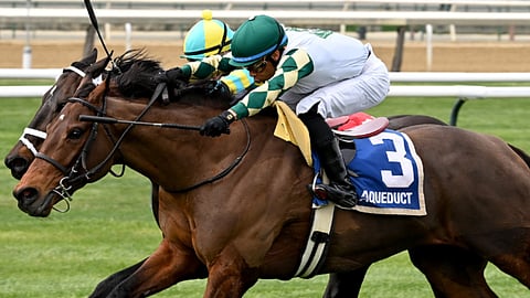 Racing at Aqueduct.