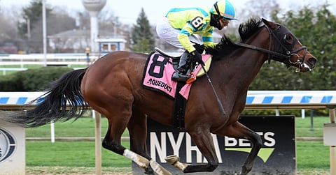 Racing at Aqueduct.