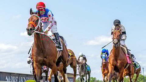 Racing at Pimlico.