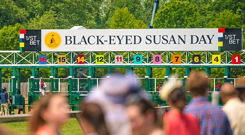 It's Black Eyed Susan Day at Pimlico.