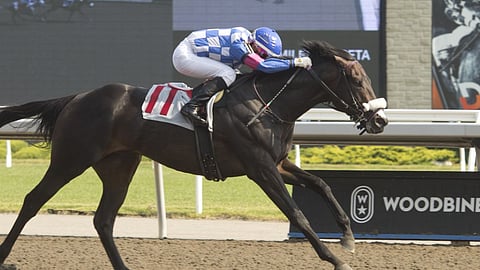 Racing at Woodbine.