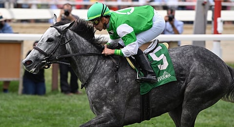 Roses for Debra was one of God's Tipster's four winners yesterday in racing at Saratoga.