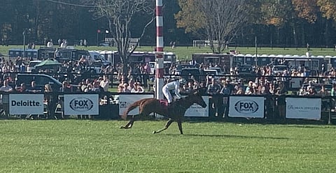 Agitaire won the John Forbes at Far Hills last year, and tries again today.