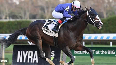 Everso Mischievous is God's Tipster's pick in the Cigar Mile.