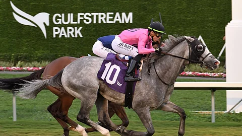 Racing at Gulfstream Park.