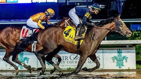 Sierra Leone is one of the favorites to win the 2024 Belmont Stakes.