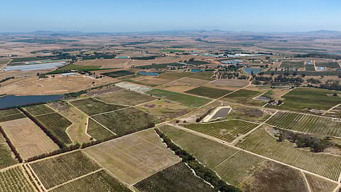 Fields and land in the Western Cape.