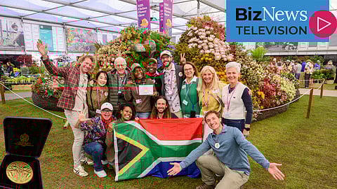 Leon Kluge’s fynbos triumph at Chelsea - with foxes sipping rooibos