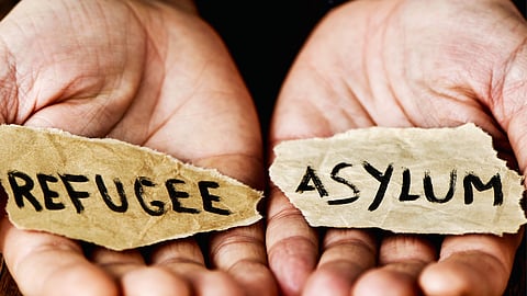 WSM: Why South African refugees are real - despite media denial