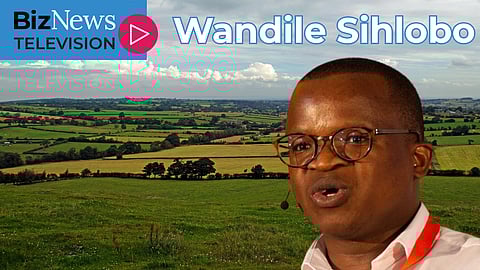 Wandile Sihlobo: SA Govt. is hoarding 2,5 million hectares of land acquired under land redistribution