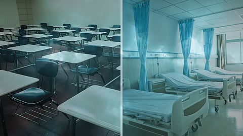 Health and education are too important to be left at the mercy of the state alone: Ayanda Zulu