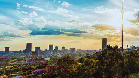 Joburg's green heart under threat: Community battles city’s ‘alienation’ plans