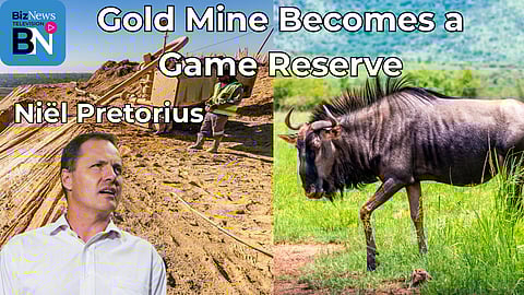 Wildebeest on a Brakpan mine dump: DRDGold’s plan to reverse gold mining legacy – CEO Niël Pretorius